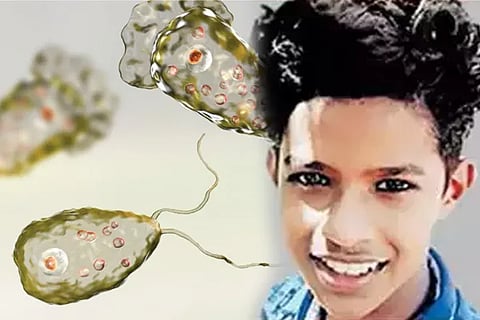 Brain Eating Amoeba