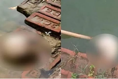 Human skull found in the holy pond of Tripureshwari temple one of the Shakti Peeths Water will not be used for 45 days