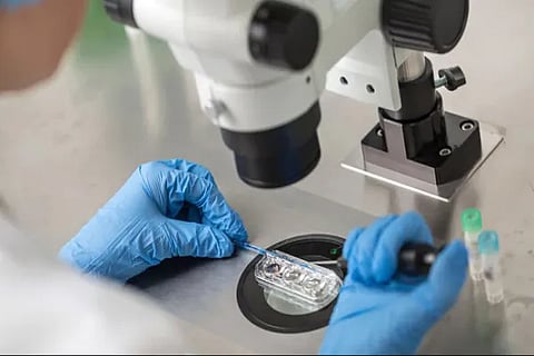 IVF