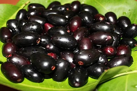 Jam Fruit