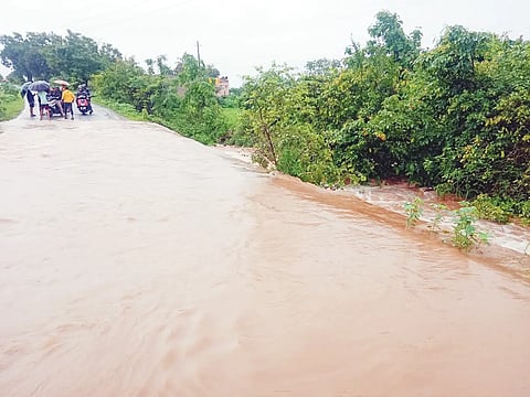 KLG RAIN-2