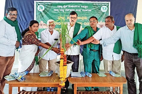 Let the government buy the grain grown by the farmers