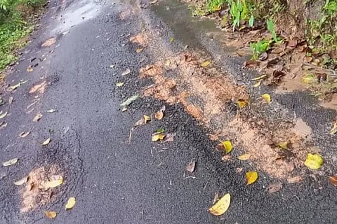 Karkisaval Road damaged