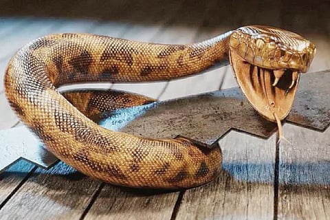 Snake (1)