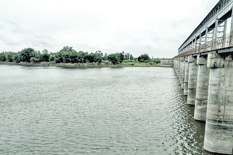 The Great Water Down!