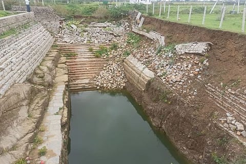 bavi
