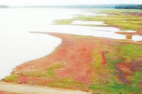 dharma reservoir