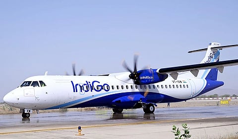 indigo