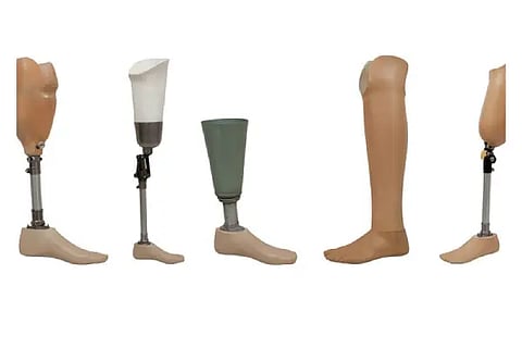 leg