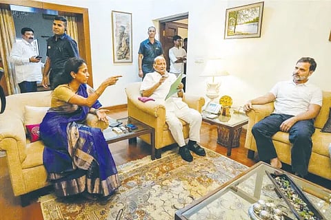 ncp fight