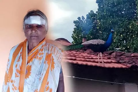 peacock attack