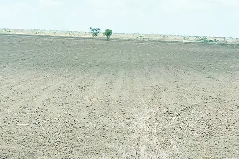 sowing, rain,