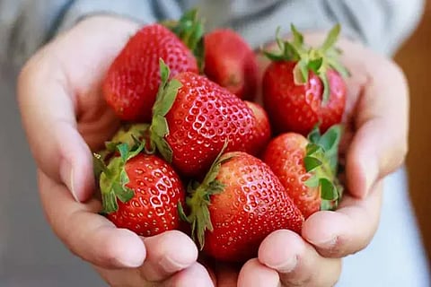 strawberries