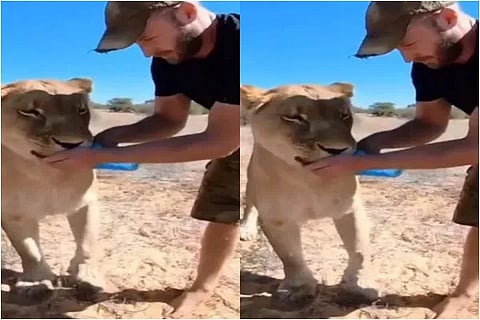 viral Video