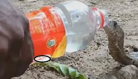 water