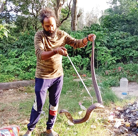 ಚಿತ್ರ 25ಎಸ್ ಡಿ ಪಿ 01-