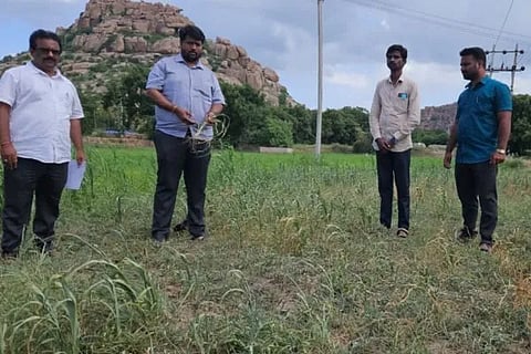 ಪರೀಶಿಲನೆ