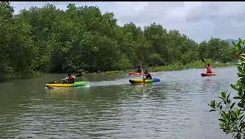 Boat expedition