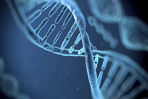 DNA