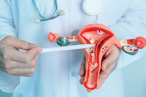 Doctor (4)