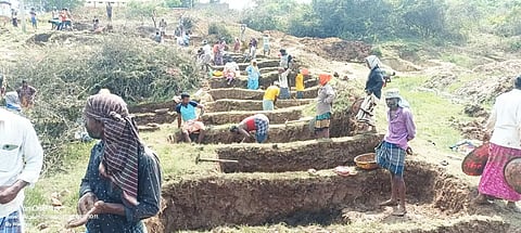 NAREGA WORK