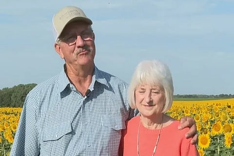 No Expensive Gifts Just 1.2 Million Sunflowers For Wife By A Husband On 50th Anniversary