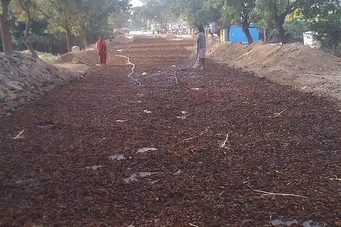 P PURA VARADII