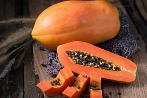 Papaya