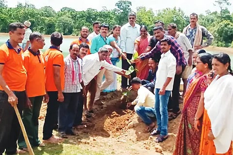 Plantation work