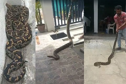 Python