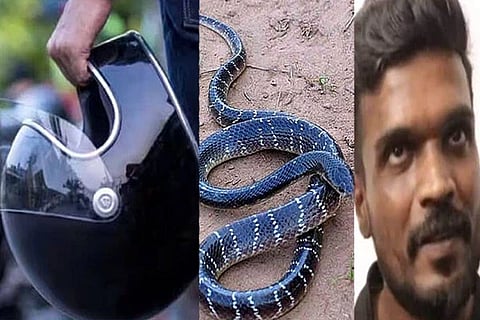 Snake Inside Helmet