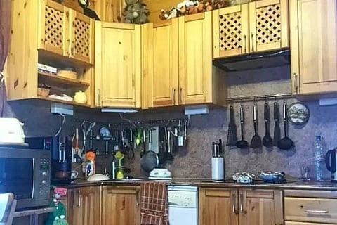 Spot the Cat