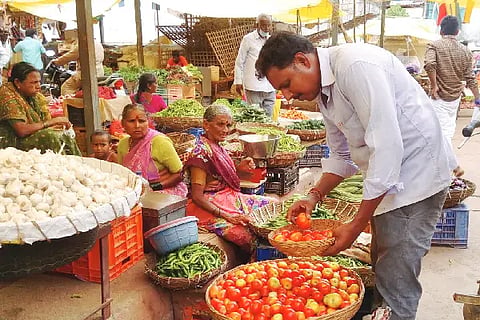 Tomato price decrease