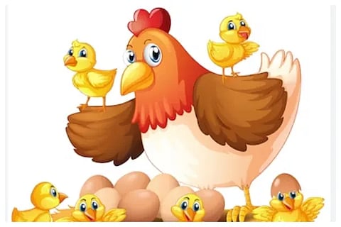 hen
