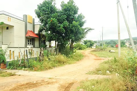 3ckm1- ward wach-2