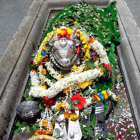 8 lxr 3 DUNDI BASAVANNA