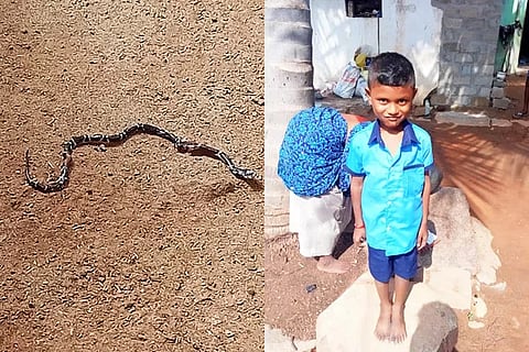 Boy Snake