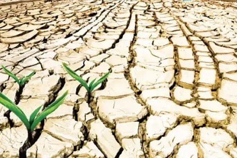 Drought
