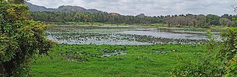 Channamma madamma Lake Ramanagara