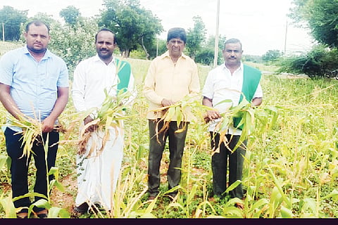 FARMER