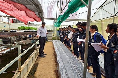 MSW Fieldwork at Fisheries Service Centre