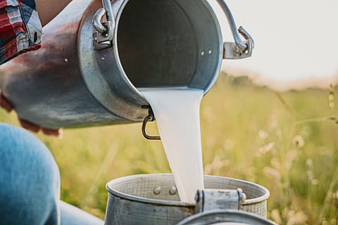 Milk