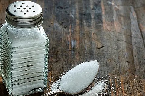 Salt-1