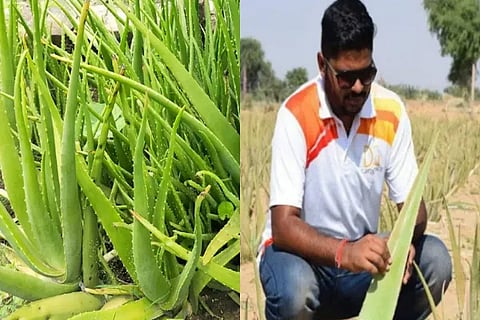 Success Story