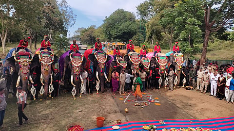 Dasara elephants
