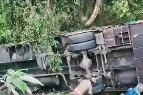 bus (3)