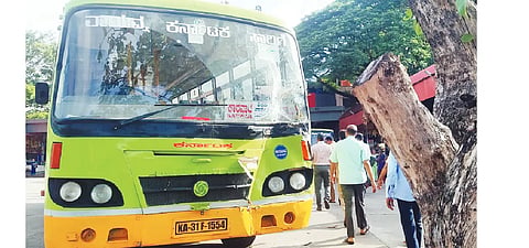 bus