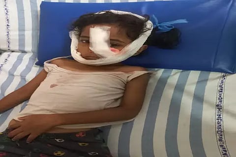 girl hospitaliged on dog attack