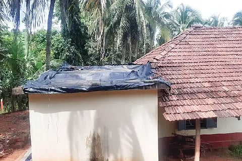 kadaba