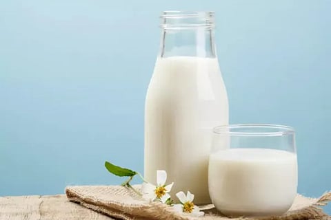 milk (1)